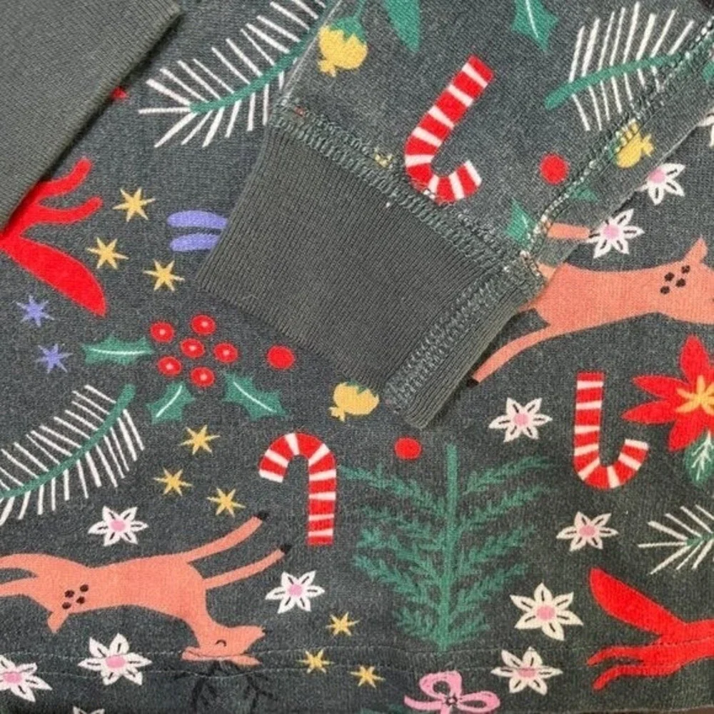 Hanna Andersson Winter Wonderland Pajama Cotton  Set Long Sleeve 2-Piece Size 10